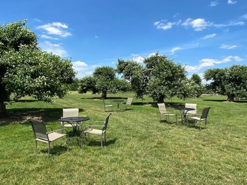 winery orchard seating winery orchard seating