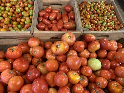 tomatoes 4 types