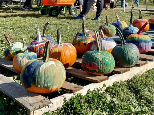 painted pumpkins