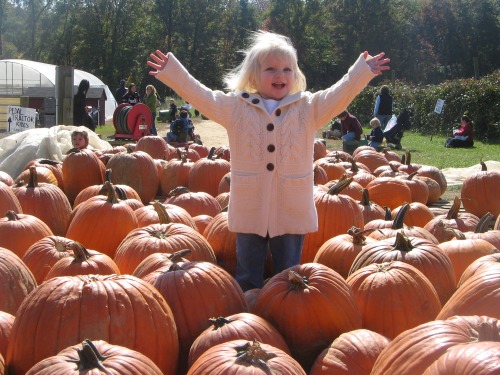 child in pumpkins